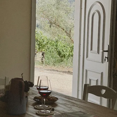 別荘 'sa Vinzedda' *