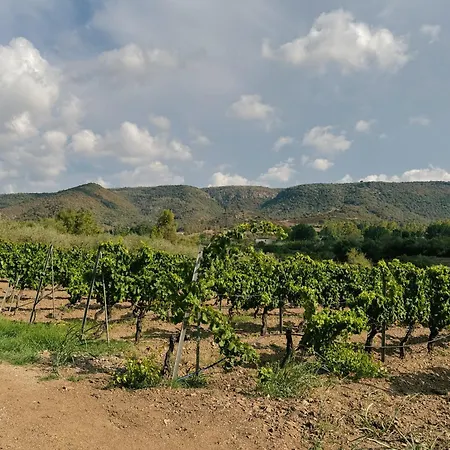 'sa Vinzedda' Galtellì