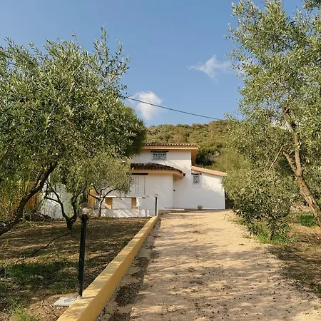 'sa Vinzedda' * Galtellì