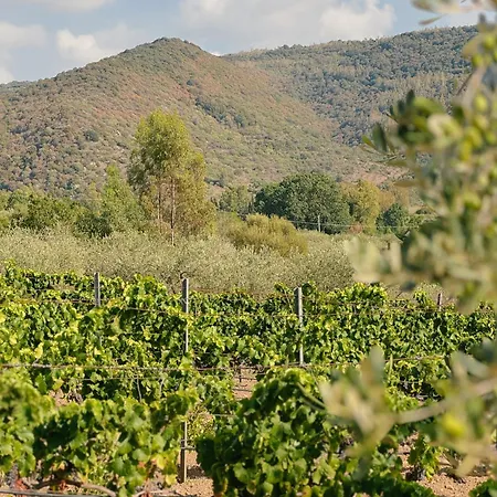 'sa Vinzedda' Feriehus *