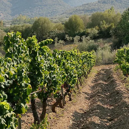 'sa Vinzedda' Feriehus Galtellì