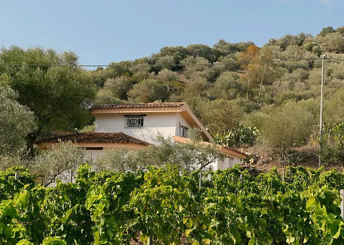 'sa Vinzedda' Ferienhaus