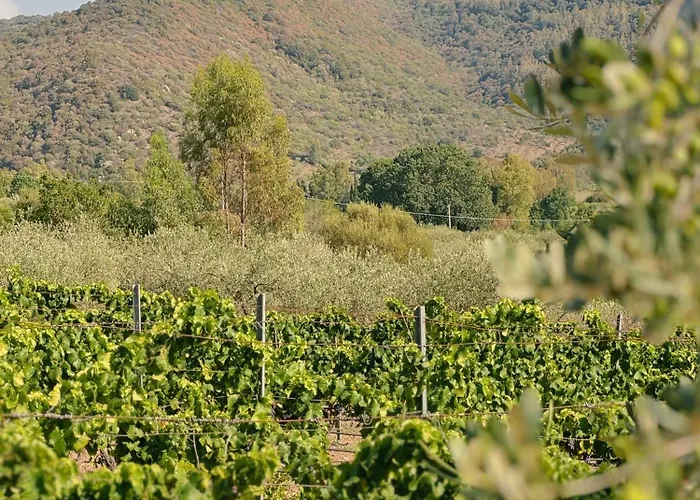 'sa Vinzedda' Ferienhaus *