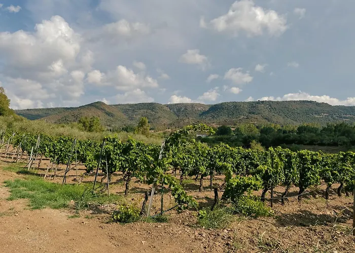 'sa Vinzedda' Galtellì