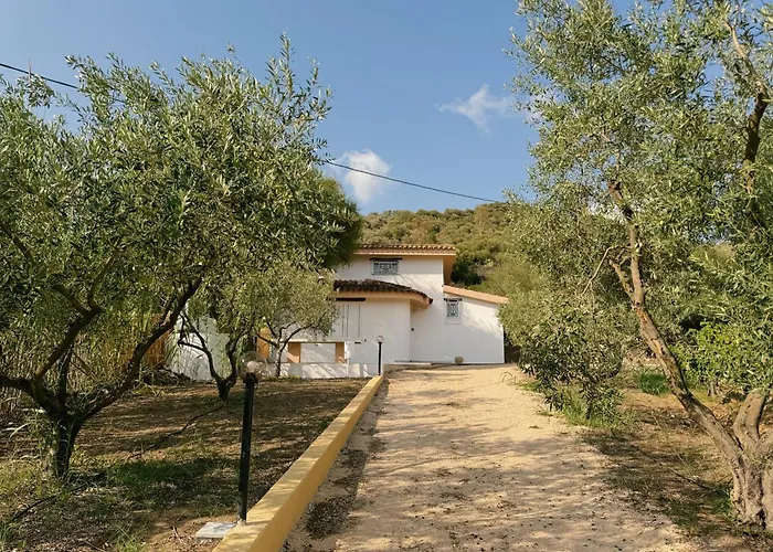 'sa Vinzedda' * Galtellì